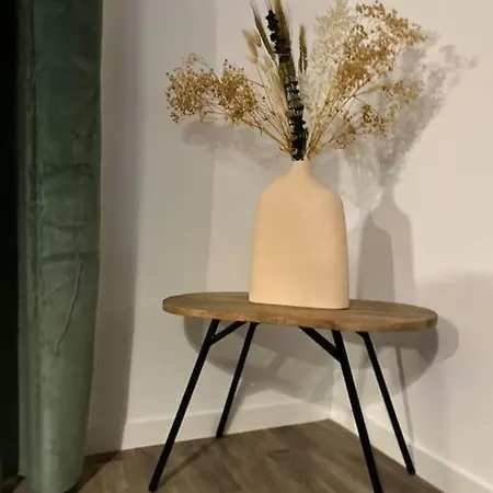 דירה T3 Moderne - Proche Tram - Parking Prive אנז'ה