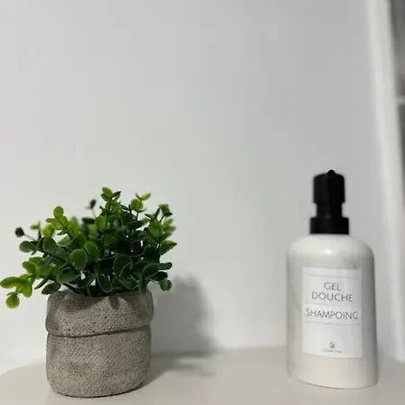 T3 Moderne - Proche Tram - Parking Prive *