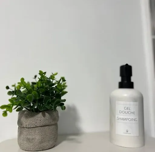 T3 Moderne - Proche Tram - Parking Prive *